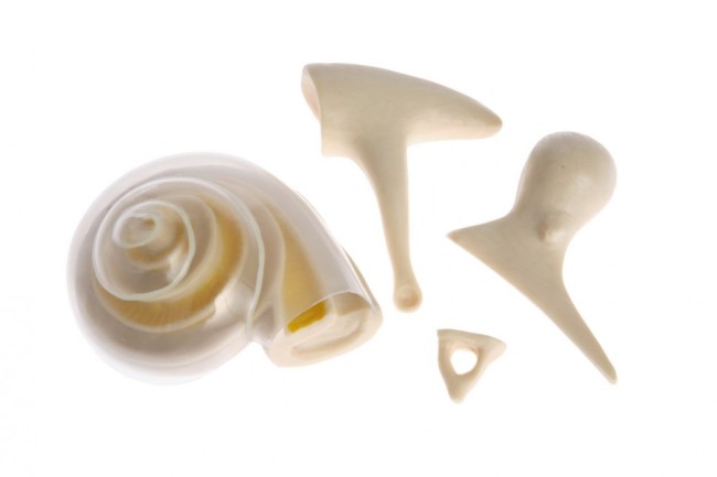 IMG_2490.jpg IMG_2490.jpg