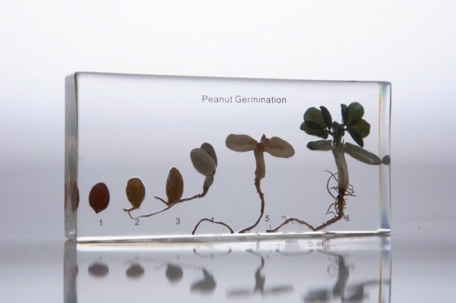 IMG_2786.jpg IMG_2786.jpg