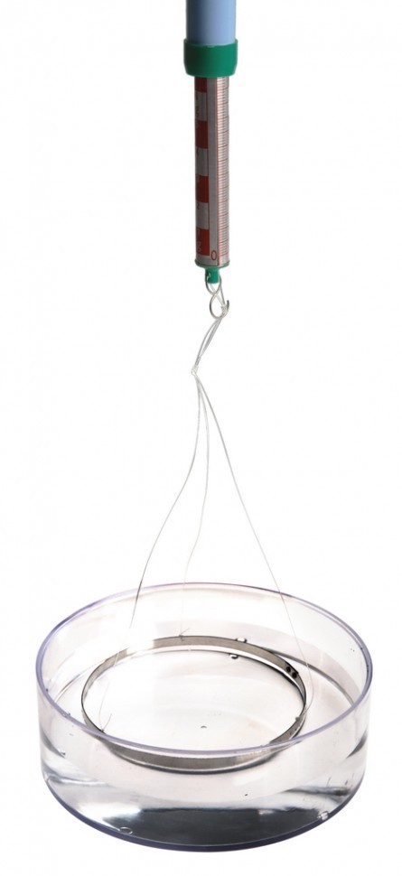 IMG_4355.jpg IMG_4355.jpg