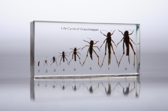 IMG_2792_enlnq.jpg IMG_2792_enlnq.jpg