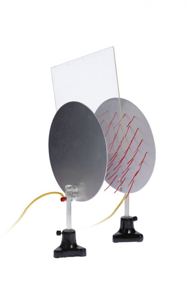 IMG_2731.jpg IMG_2731.jpg