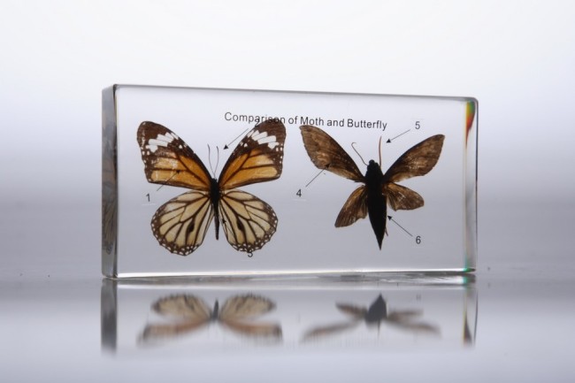 IMG_2791.jpg IMG_2791.jpg