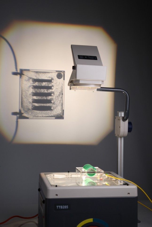 IMG_2824.jpg IMG_2824.jpg