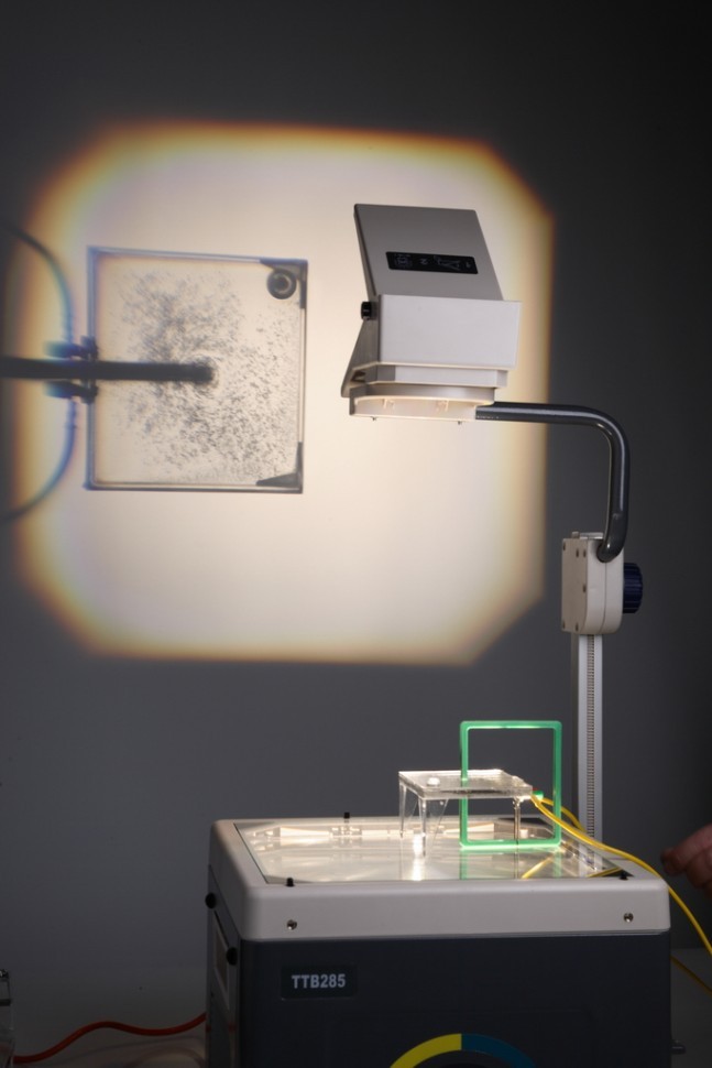 IMG_2826.jpg IMG_2826.jpg