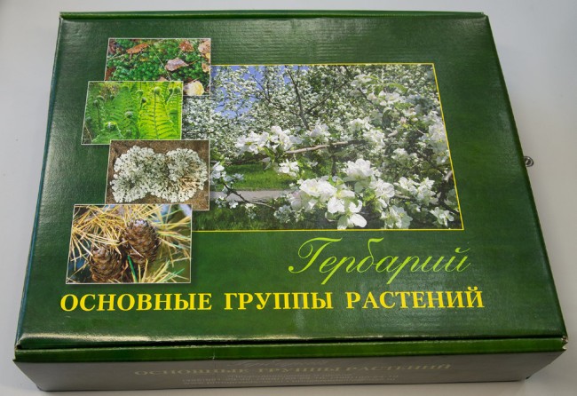 Гербарий Основные группы растений (52 листа)