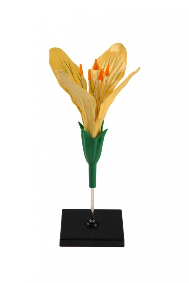 IMG_8012_enlgf.jpg IMG_8012_enlgf.jpg