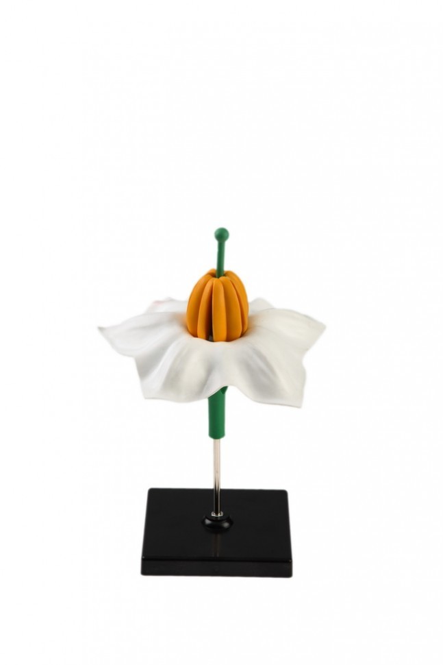 IMG_8013_enl27.jpg IMG_8013_enl27.jpg