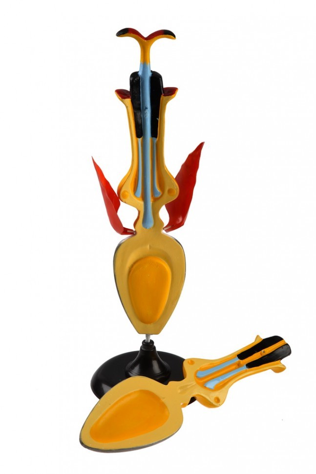 IMG_8015_enlqr.jpg IMG_8015_enlqr.jpg