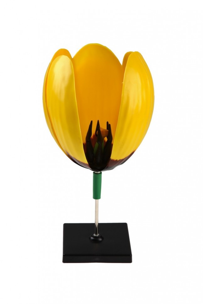 IMG_8014_enlm1.jpg IMG_8014_enlm1.jpg