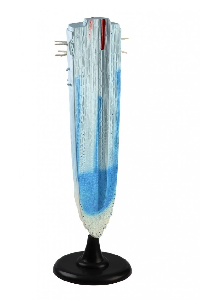 IMG_8038.jpg IMG_8038.jpg