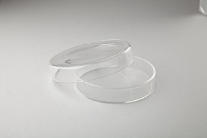 Чашка Петри