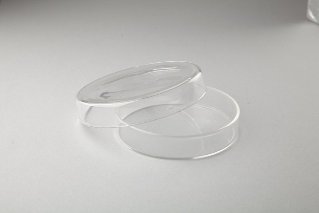 Чашка Петри